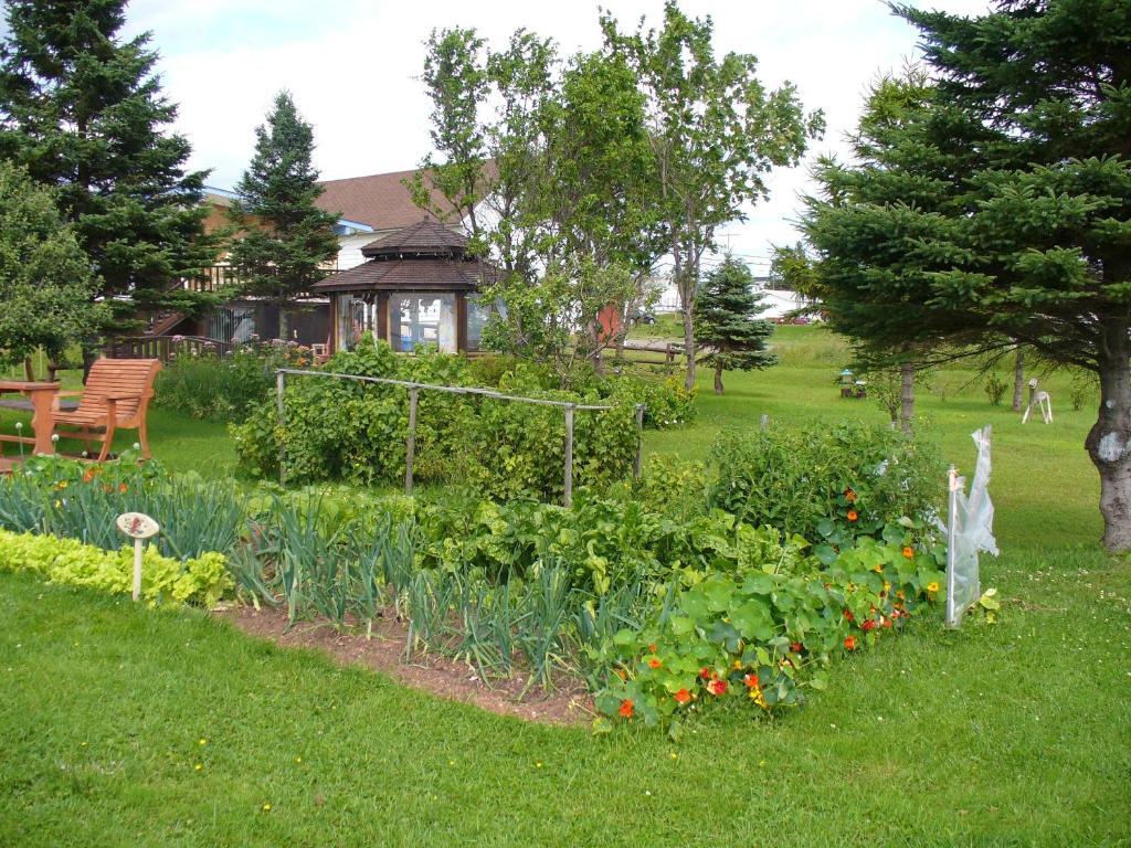 Gite Parfum De Mer Bed And Breakfast Pabos Екстериор снимка
